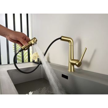 Multifunctional Pull-Out Bathroom Basin Faucet